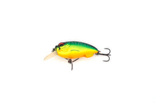 Load image into Gallery viewer, Megabass Cyclone SR-X
